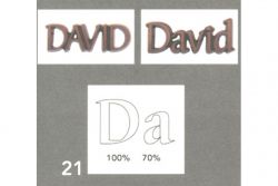 T21 David