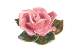 AM503.20 roze roos
